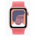Apple Watch SE (44 mm)