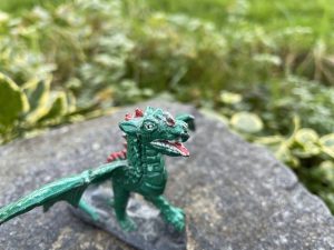 IMG 0120