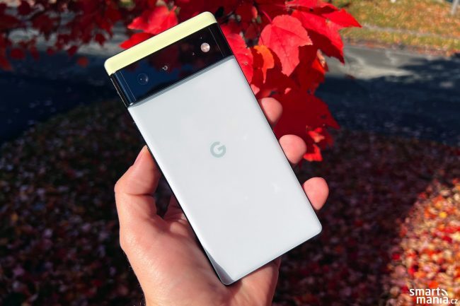 Google Pixel 6 10