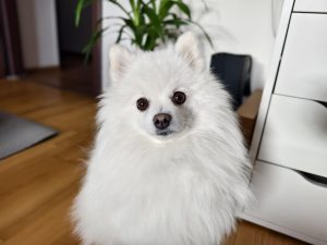 IMG 20240125 085551
