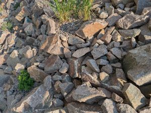 google pixel 8a – hlavní fotoaparát