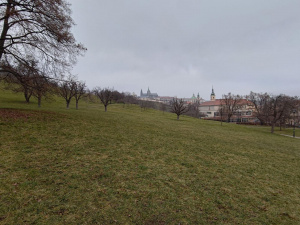 Asus Zenfone 12 Ultra ukázka fotoaparátu, 0,7× přiblížení